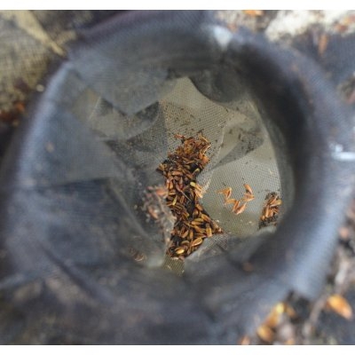 Siatka na wejście IBC o szerokości 1m NOWOŚĆ