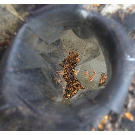 Сетка для входа в IBC, ширина 1м НОВИНКА